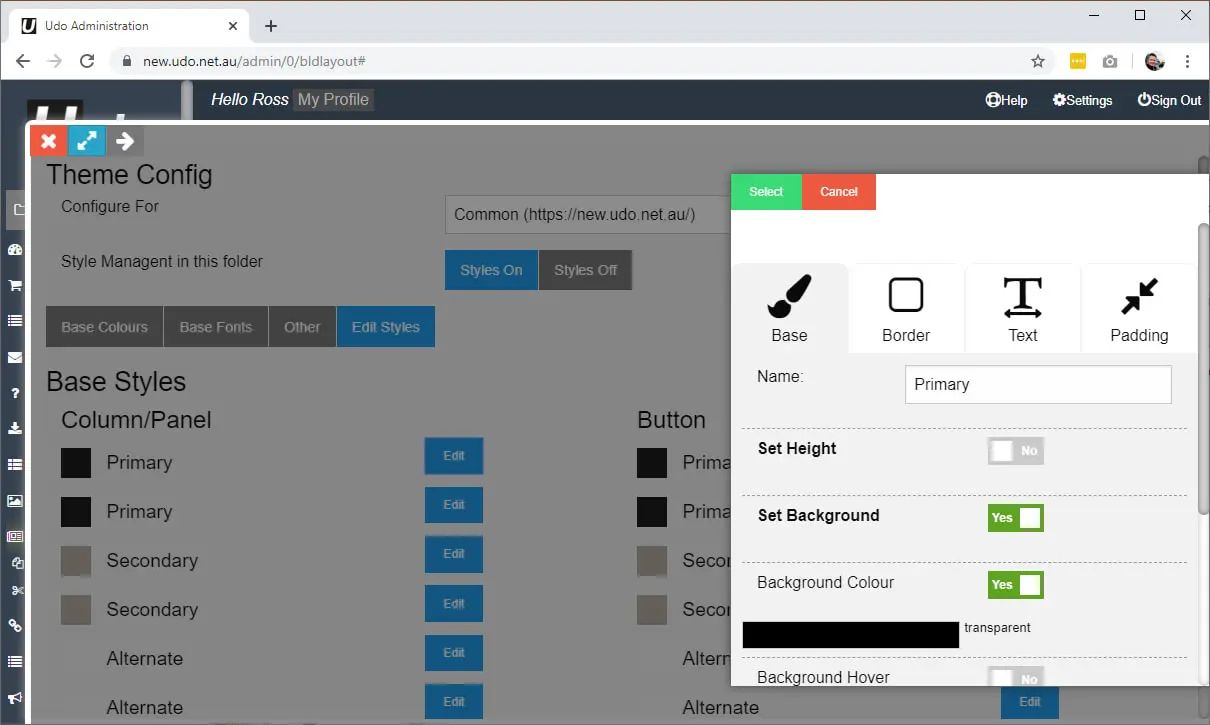 Theme config4